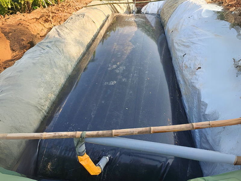 Túi HDPE Chất Lượng, Giá Rẻ