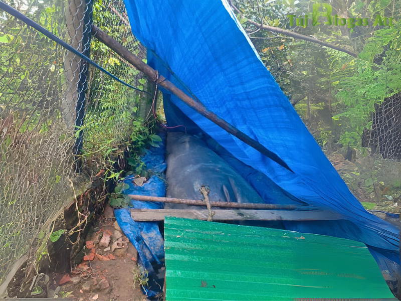Cách Bảo Quản Túi Biogas