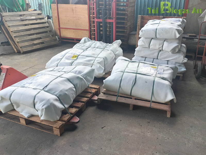 Lợi ích Khí Biogas Trong chăn Nuôi