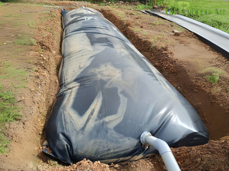 ứng Dụng Khí Biogas
