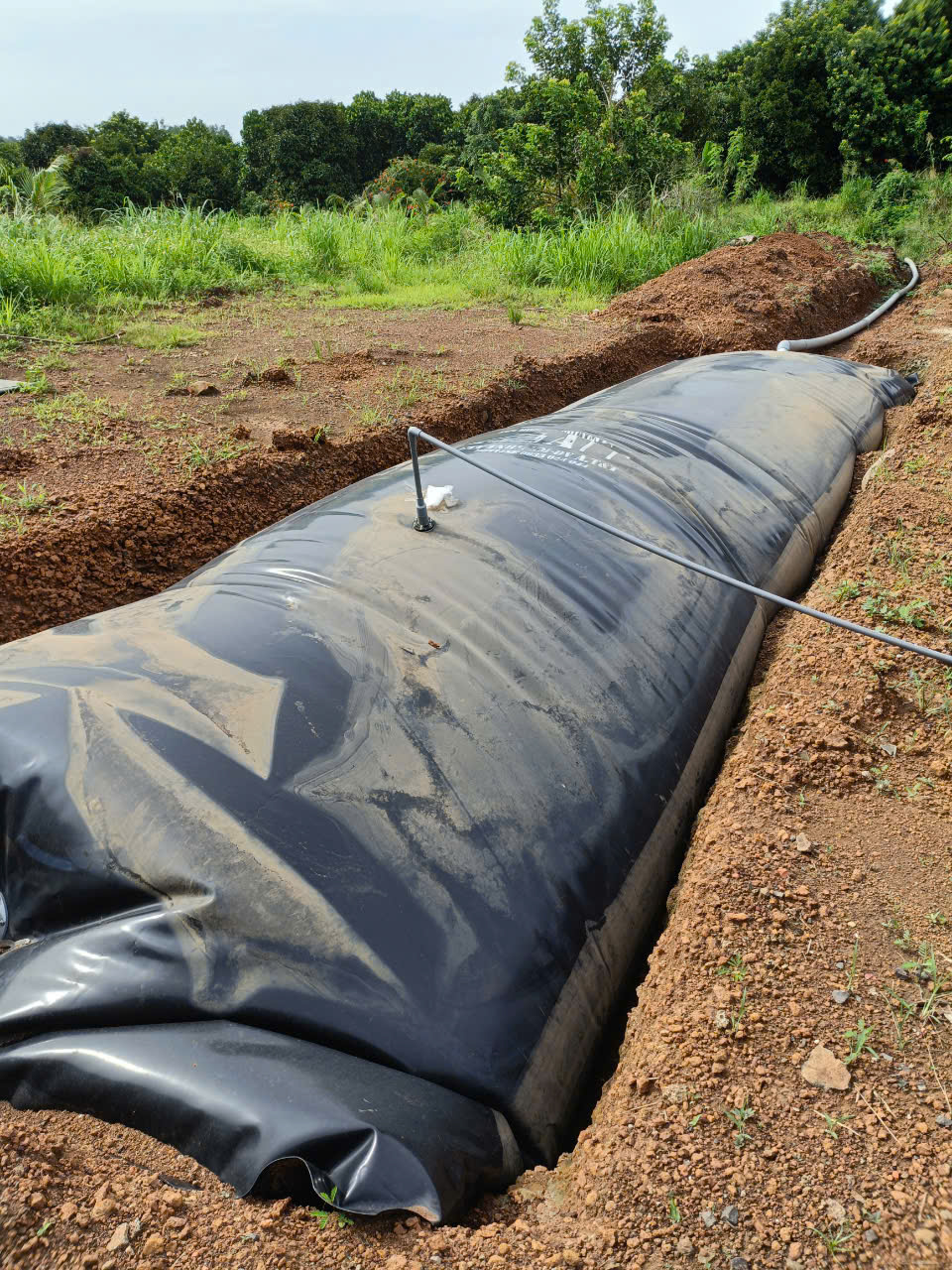 túi biogas HDPE