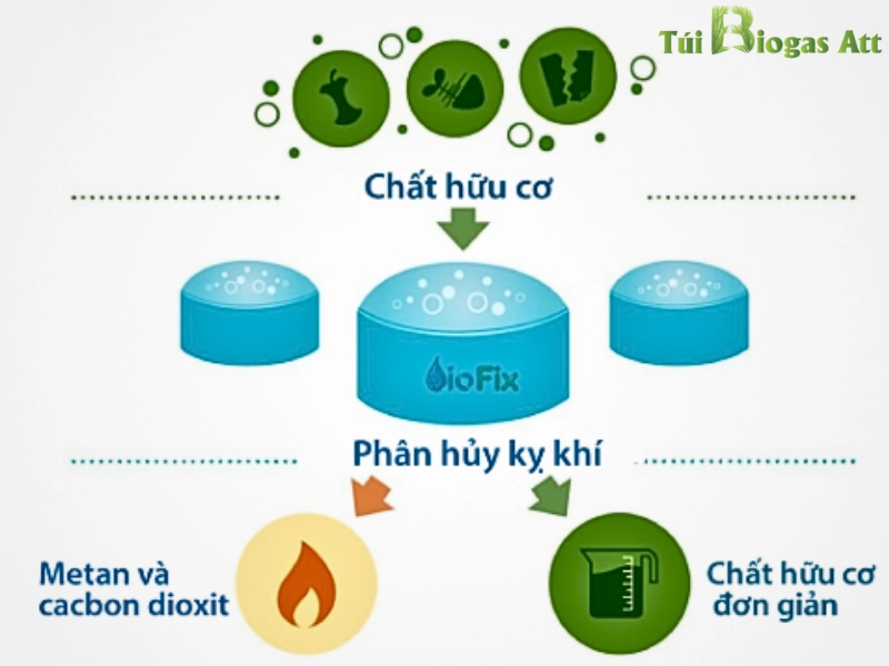 Cơ Chế Hoạt động Hầm Biogas