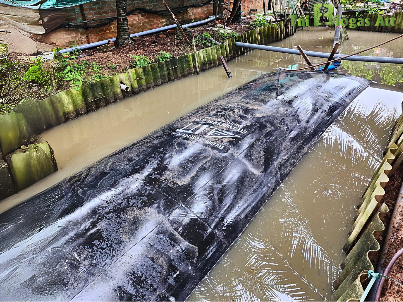 Nước Sau Biogas để Làm Gì