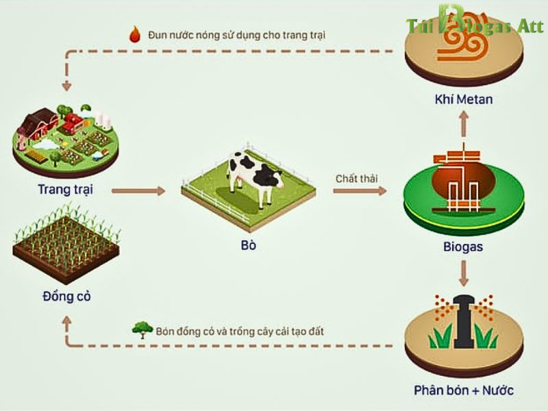 Quy Trình Biogas Hình Thành Khí