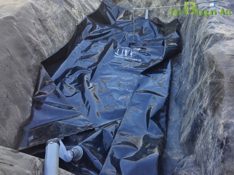 Thân Túi Biogas 50 Heo
