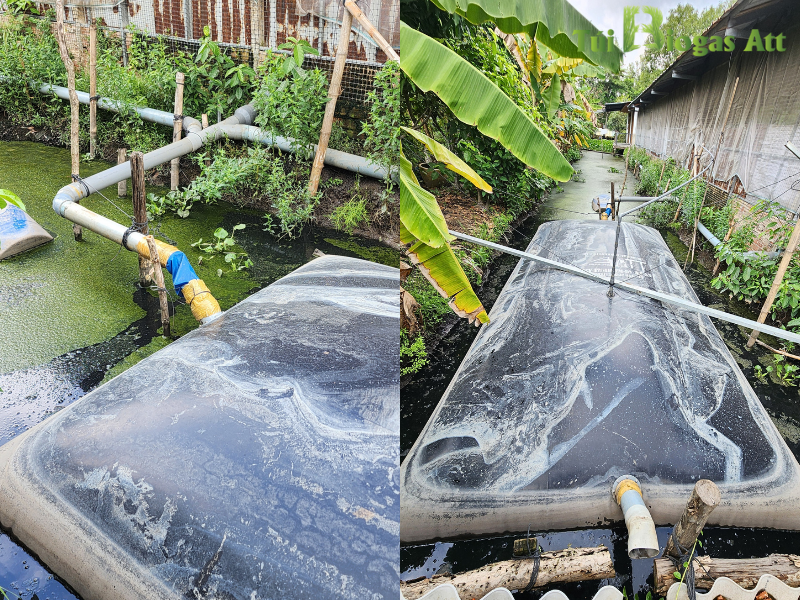 Túi Bạt Biogas Là Gì