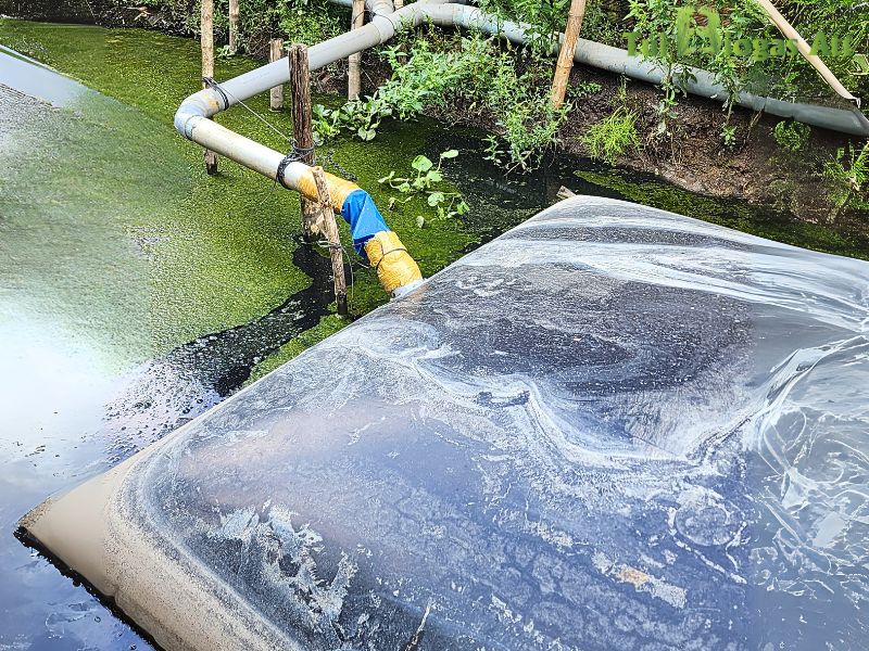 Túi Biogas Có Bị đầy Không