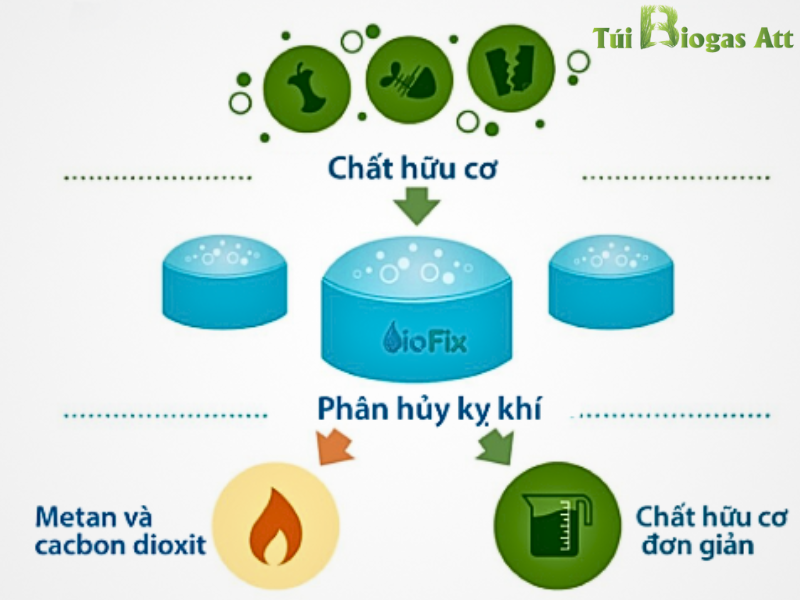 Cơ Chế Hình Thành Khí Biogas