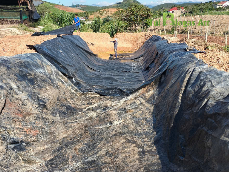 Lot Dem Ho Tui Biogas Trai Vịt