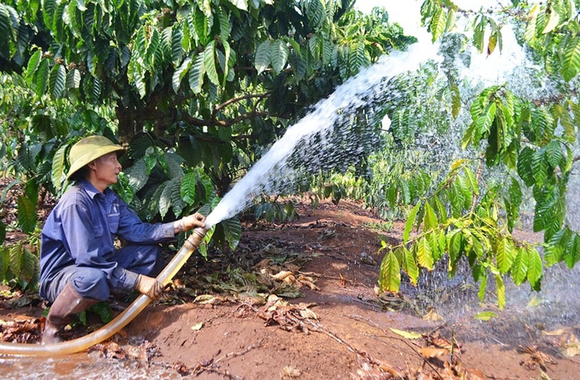 nuoc sau biogas