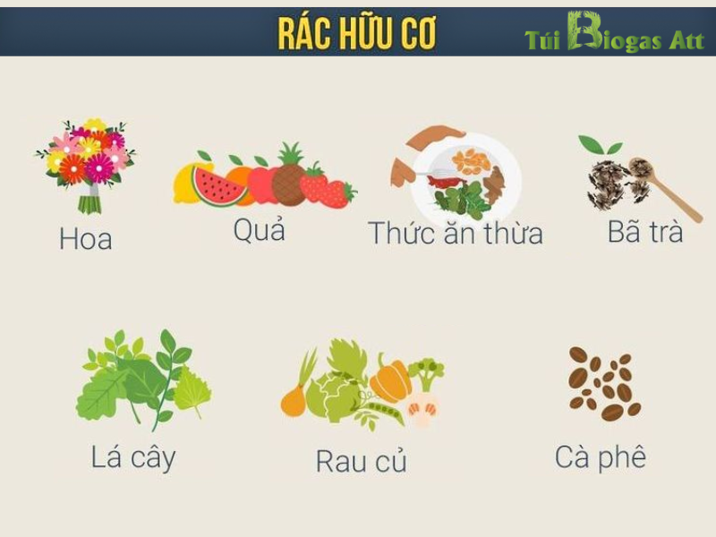 Rác Hữu Cơ Cho Vào Túi ủ Rác