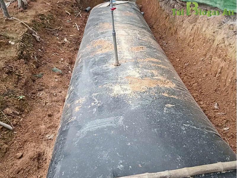 Tui Biogas 20 Heo 8 Khối