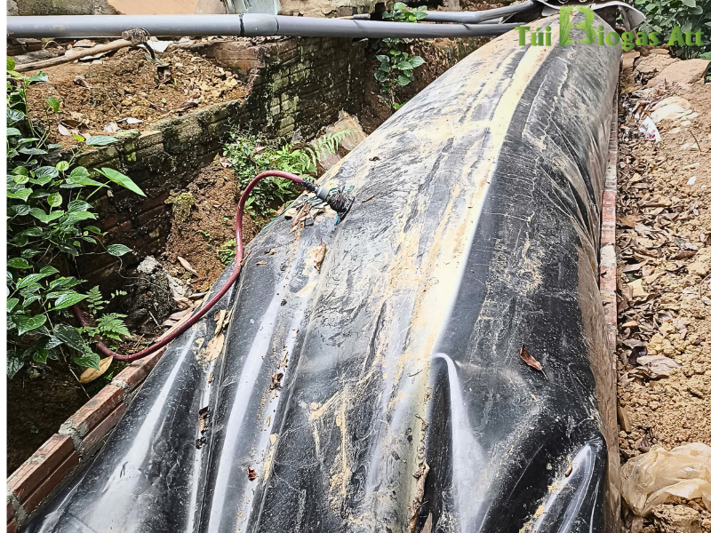 Túi Biogas 20 Heo 8 Khối