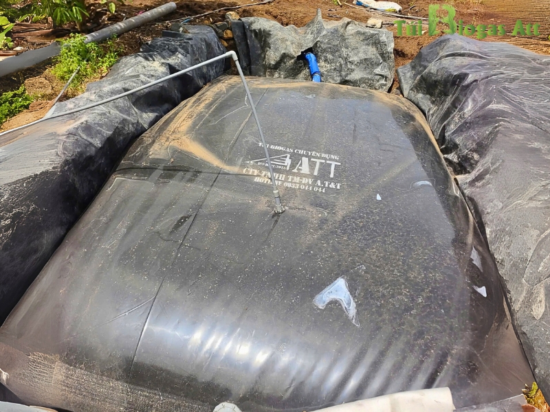 Túi Biogas 50 Heo Kích Thước 4mx6m