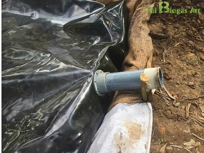 Túi Biogas 8 Khối Cho 20 Con Heo
