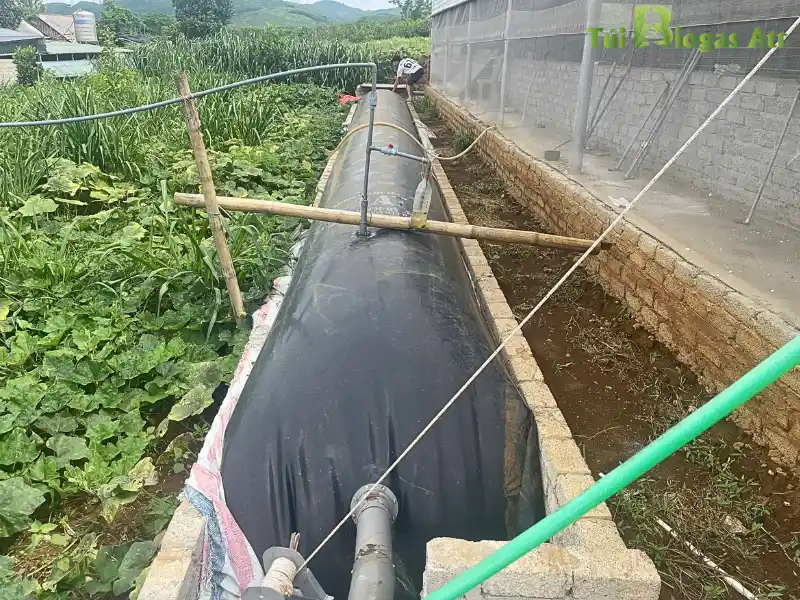 Lắp đặt Van Tự Xả đúng Kỹ Thuật Tại Nhà