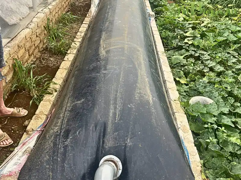 Mua Túi Biogas ở đâu Túi Biogas ATT