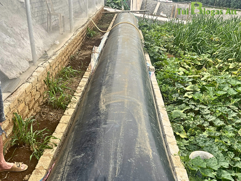 Khí sinh học HDPE