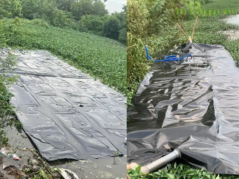 Lắp đặt Túi ủ Rác Hữu Cơ Tiện Lợi Dưới Ao