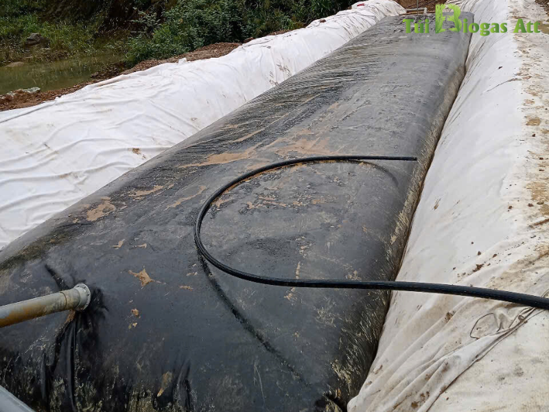 Túi Biogas Cho Trang Trại 100 Heo