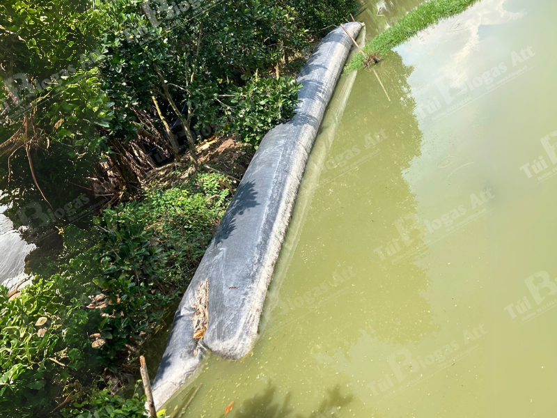 Cách Lắp đặt Túi Biogas Trang