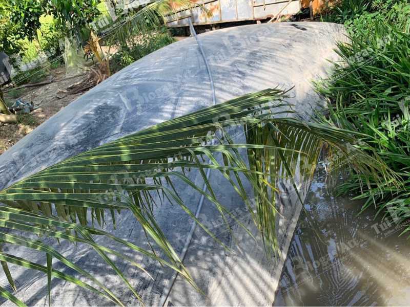 Lắp đặt Túi Biogas Trang Trại 500 Heo