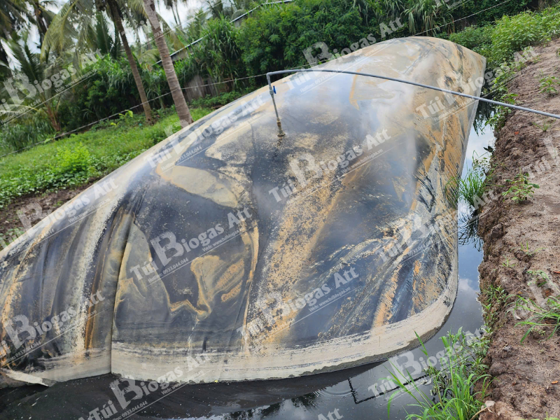 túi biogas att 6 khối