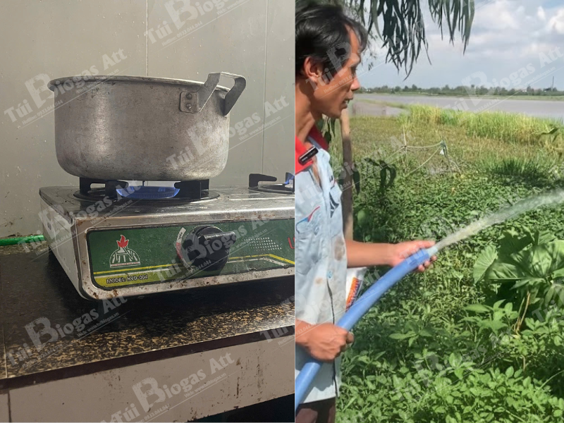Tui Bioags 50 Khối