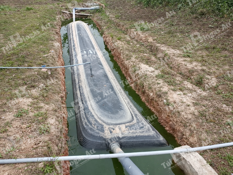 Lăp Dat Tui Biogas 12 Khoi