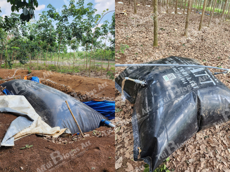Combo Tui Biogas