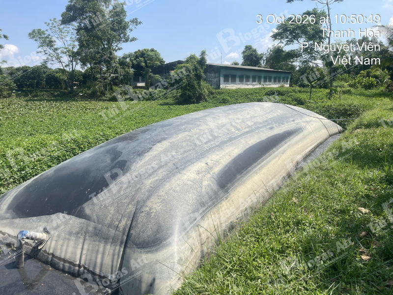 Tui Biogas 60 Khoi Tai Thai Nguyen