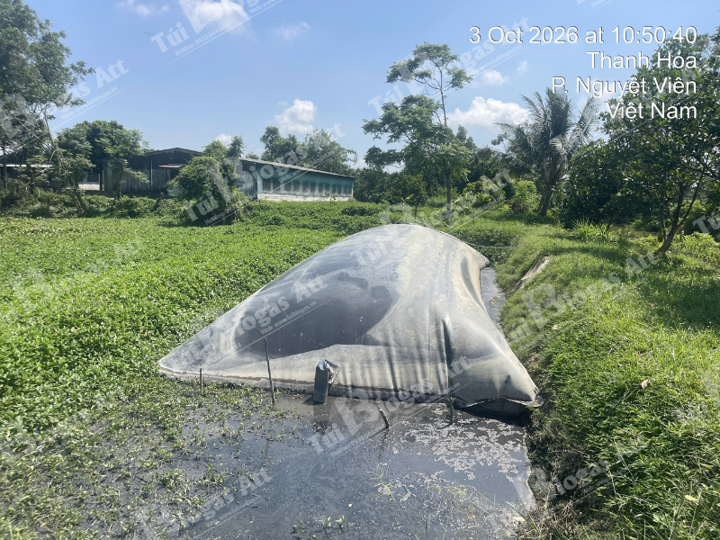 Bao Gia Tui Biogas Dong Nai Tron Goi