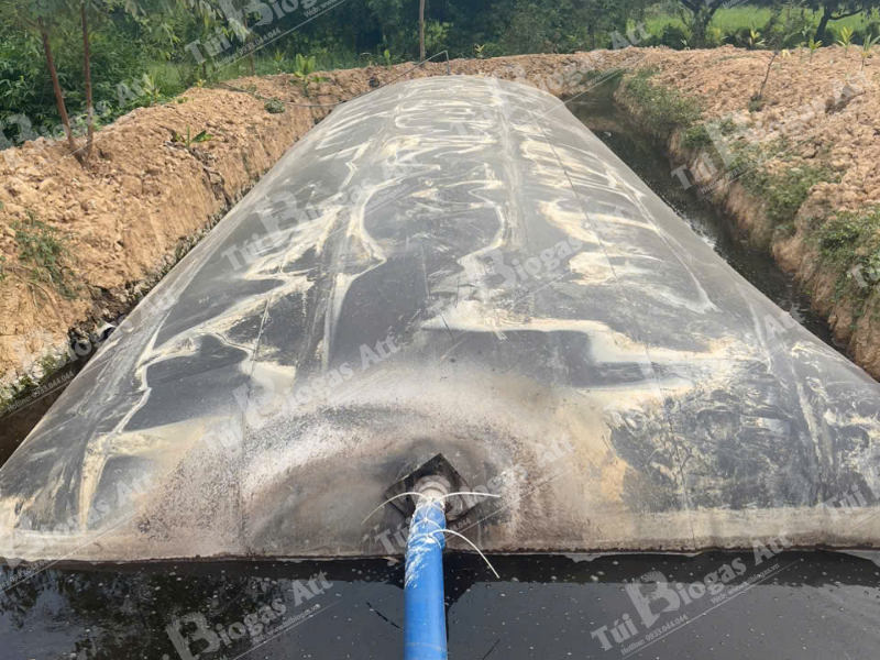 Gia Tui Biogas Tai Dak Lak (2)