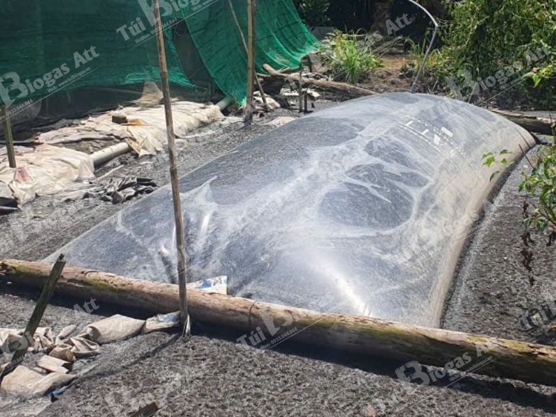 Gia Tui Biogas Tai Ha Noi Nam 2026