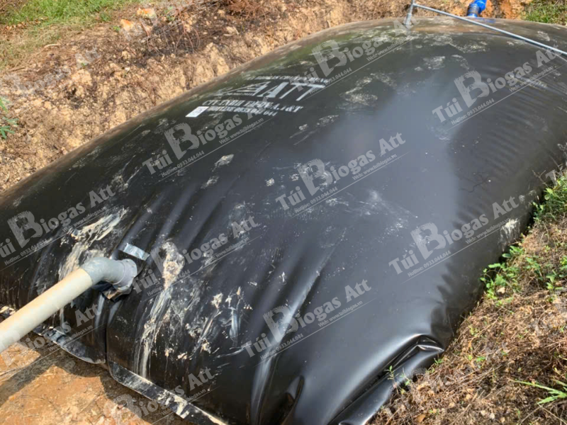 Gia Tui Biogas Tai Vinh Long