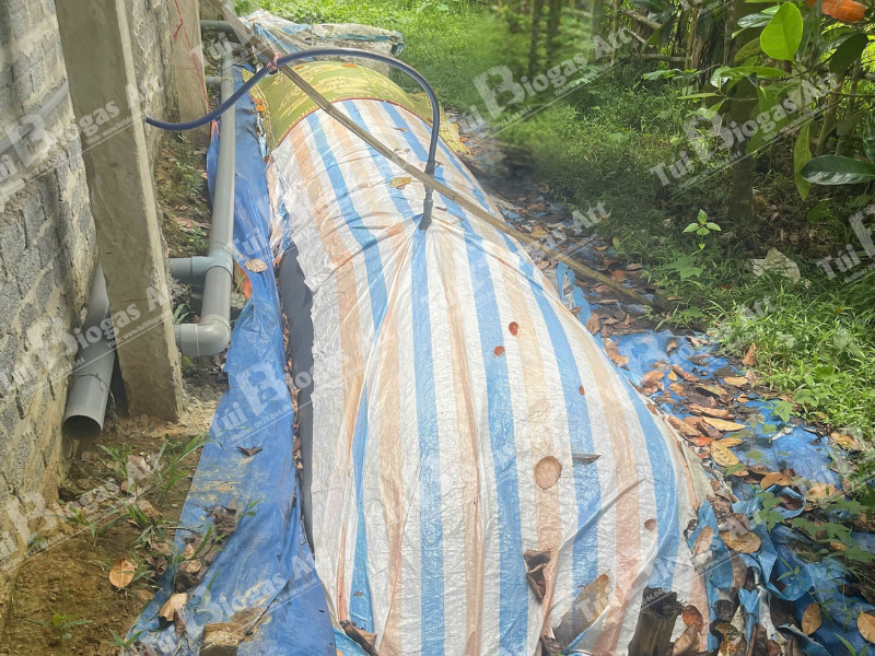 Tui Biogas Tai Lam Dong Duoc Che Chan Can Than
